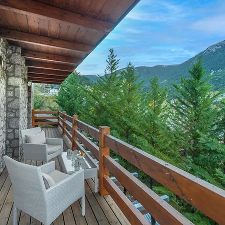 The Mountain House In Parnassus *